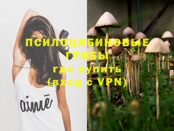 не бодяженный Армянск