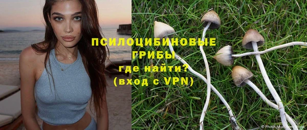 бошки Баксан