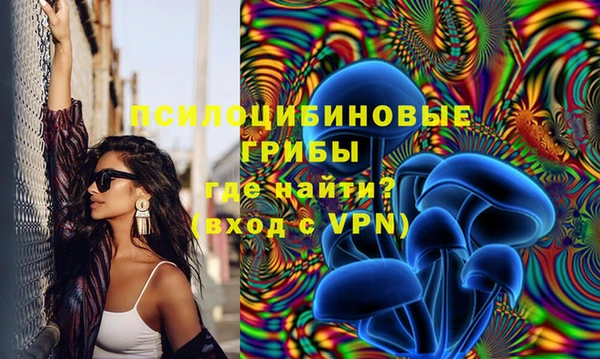 винт Балахна