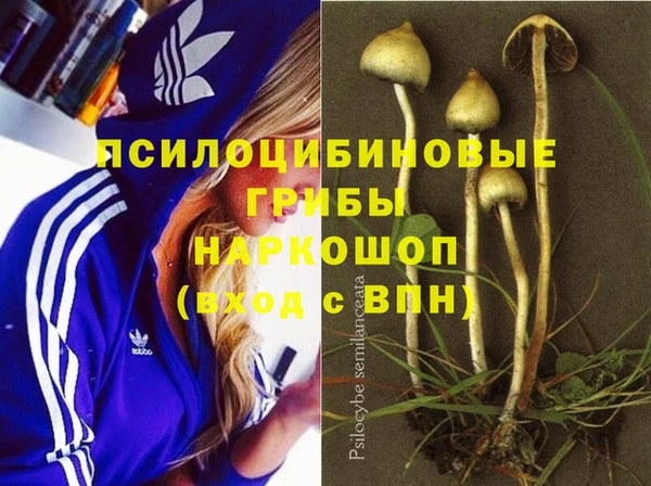 марки nbome Аркадак