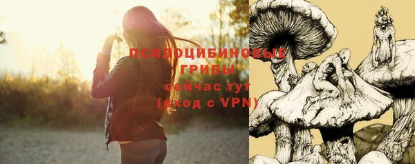 не бодяженный Армянск