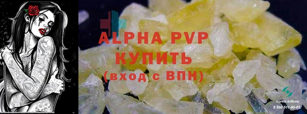 гашик Арсеньев